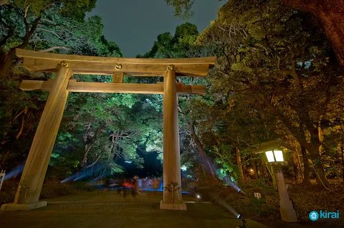 🌸 메이오지 (벤텐슈) 이미지 3